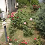 Le Rose Castiglione del Lago