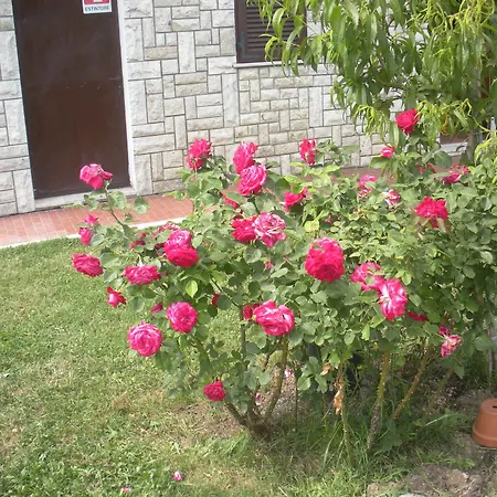 Séjour à la ferme Le Rose *