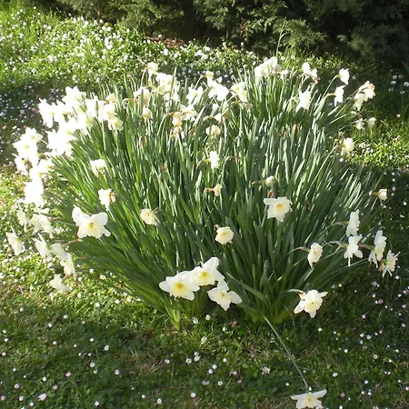 Bauernhof Le Rose Castiglione del Lago
