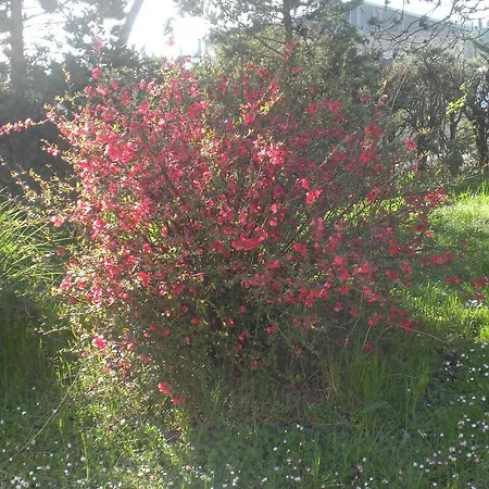 Bauernhof Le Rose