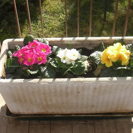 Bauernhof Le Rose Castiglione del Lago