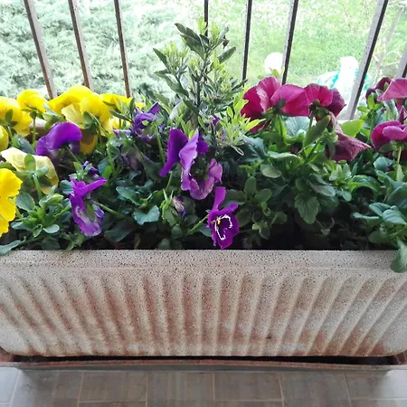 Le Rose Séjour à la ferme Castiglione del Lago