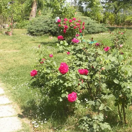 Le Rose Séjour à la ferme Castiglione del Lago