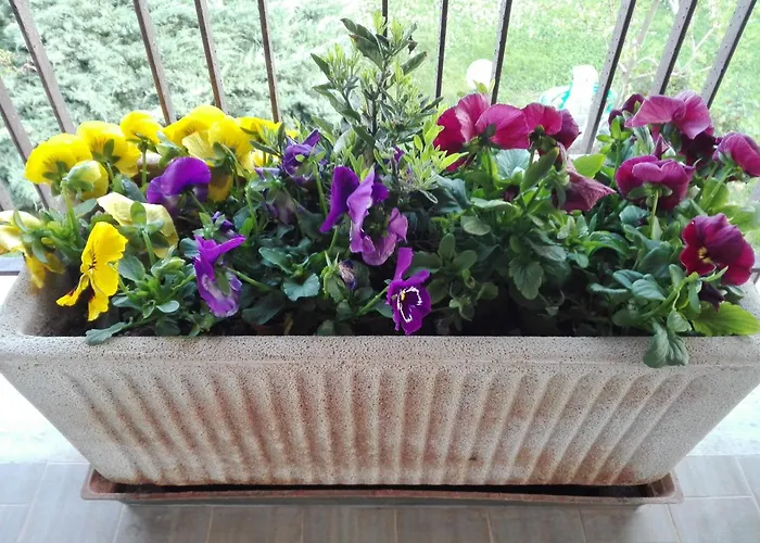 Le Rose Alojamento de Turismo Rural Castiglione del Lago