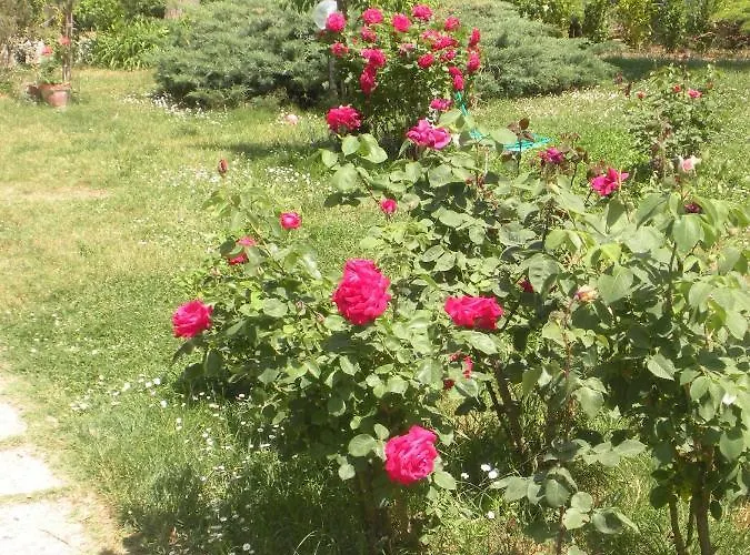 Le Rose Alojamento de Turismo Rural Castiglione del Lago